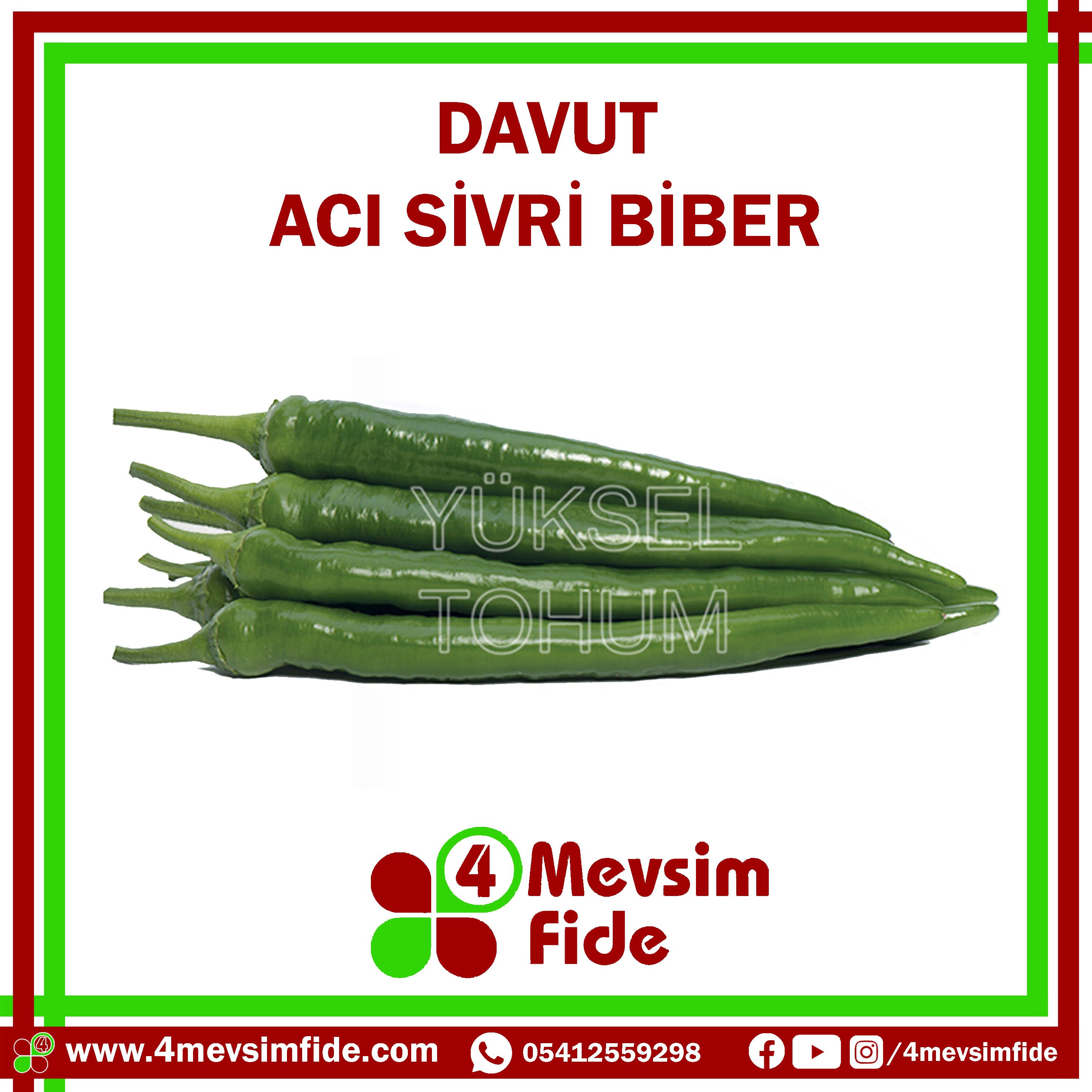 Davut F1 Sivri Acı Biber